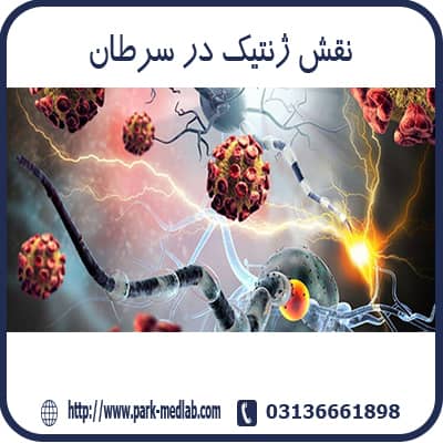 نقش ژنتیک در سرطان